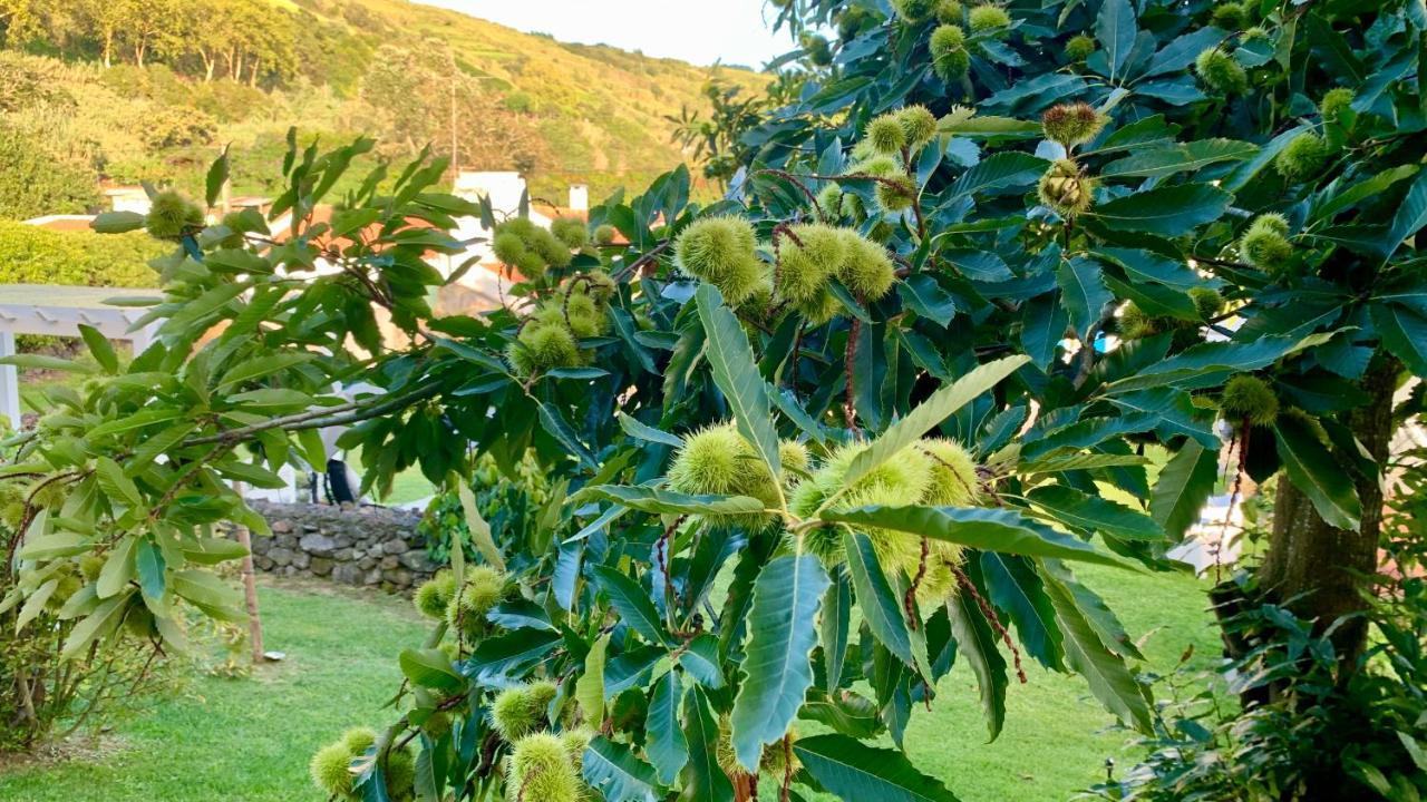 Feteiras Casa Do Milhafre - Villaverde Azores מראה חיצוני תמונה